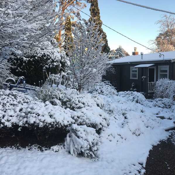 Maisie’s Cottage 2022
