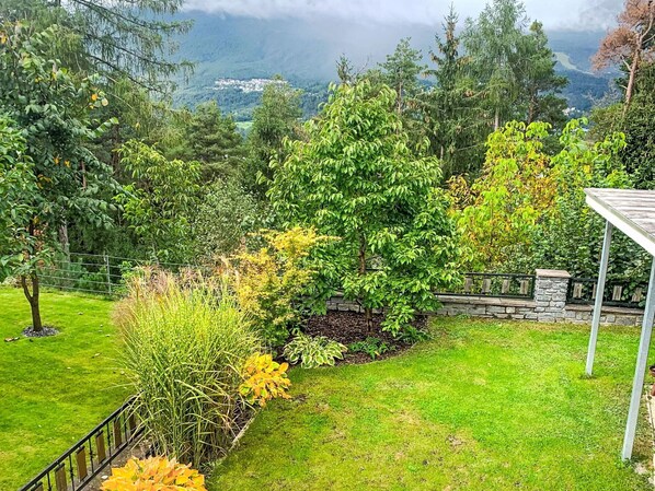 Green, Vegetation, Shrub, Garden, Groundcover, Spring, Landscaping, Lawn, Yard, Botanical Garden