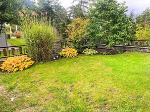 Green, Grass, Garden, Shrub, Lawn, Groundcover, Spring, Landscaping, Woody Plant