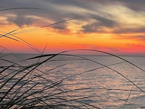 Amazing sunsets every night