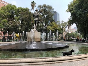 Also, 4 blocks away from Plaza Río de Janeiro, one of my favorites. Yes, dogs go into it and play. 