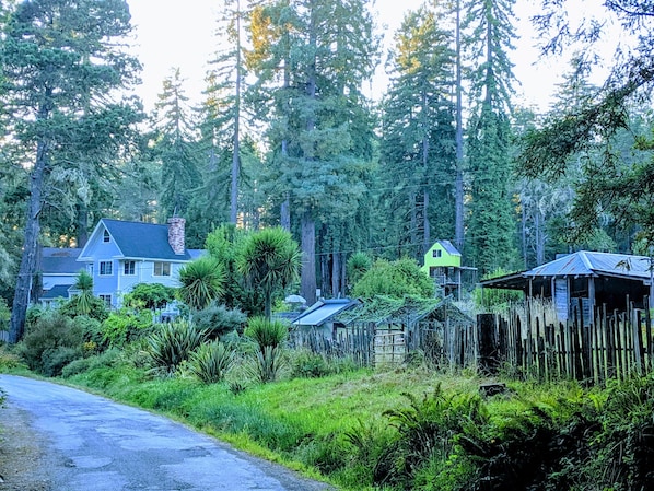 Arrival at Huckleberry haven. Home, Chicken coop. tree fort, & barn