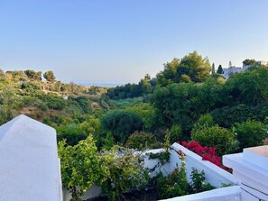 Views
