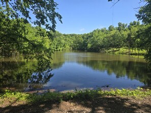 Pond View