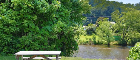 Backyard, view of Smith River