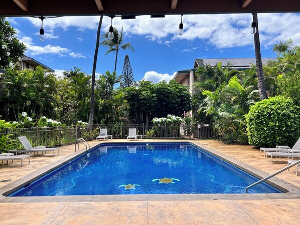 Welcome to Kalama Terrace!