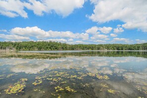 View of the lake from the backyard during summer.