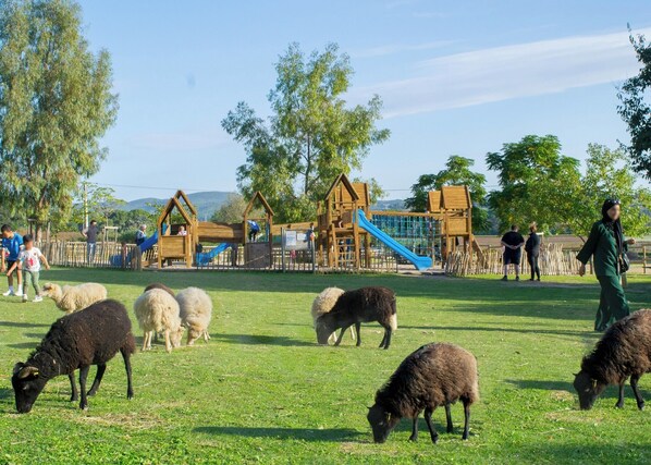 Children's area