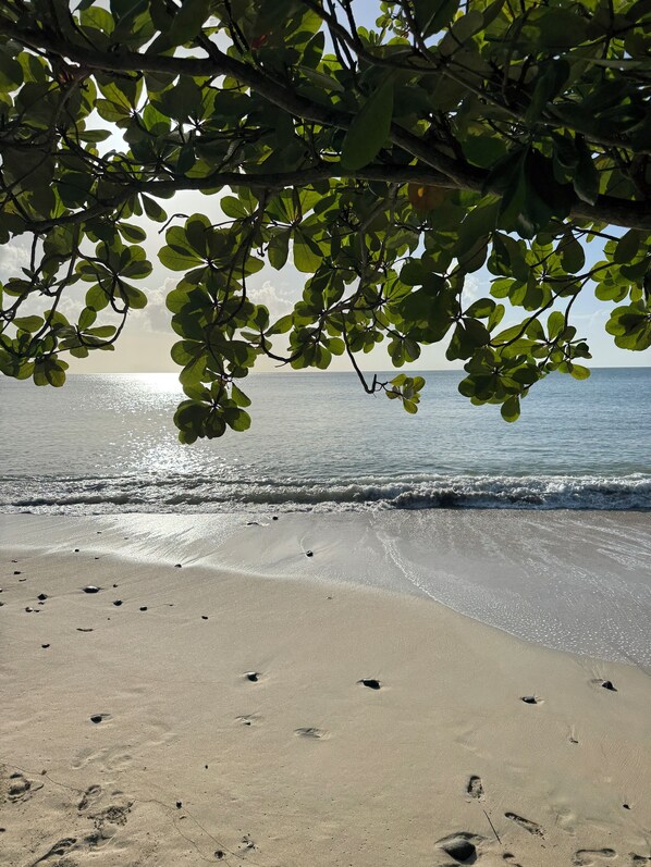 Beach 2 min walk from the house