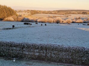 View from bedroom two