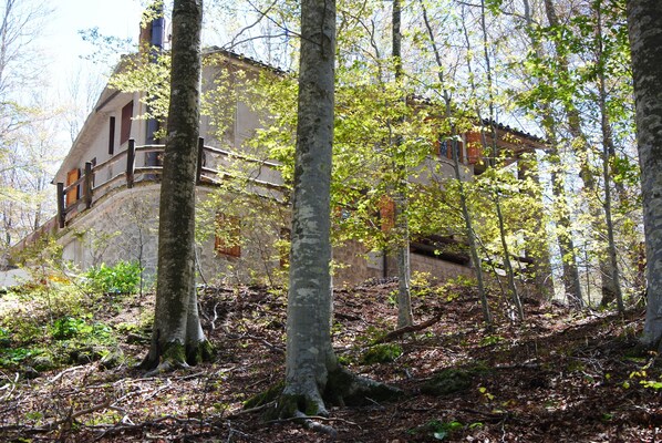 La casa