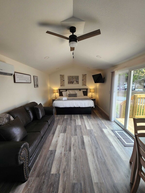 Whole Area with King Bed