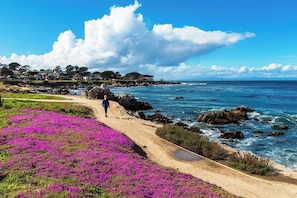 Pacific Grove / Recreation Trail