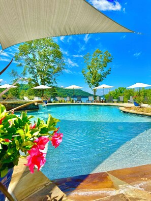 Relax on the beach entrance or swim in the deep end, all w/ a view!*Sharedspace