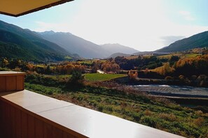 Terrasse / Balkon