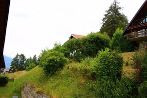Immediate Surroundings [summer] (&lt;1 km)