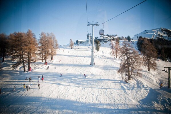 Immediate Surroundings [winter] (&lt;1 km)