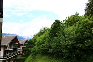 Immediate Surroundings [summer] (&lt;1 km)
