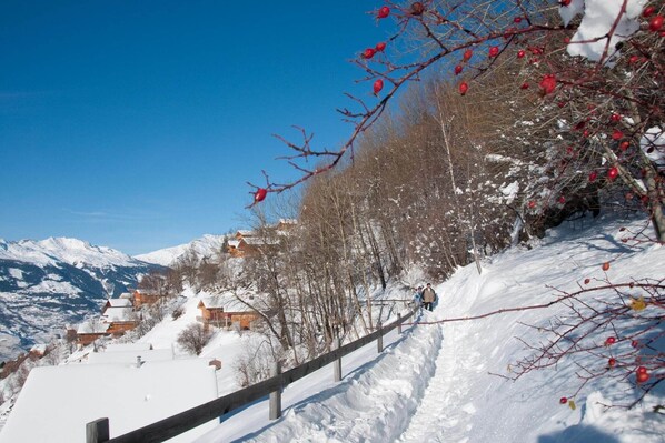 Region [winter] (&gt;5 km)