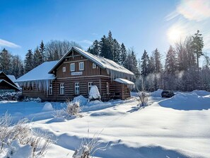 Snow, Tree, Winter, House, Home, Roof, Cottage, Freezing, Rural Area, Larch