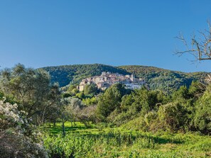 Natur, Vegetation, Natürliche Landschaft, Hügel, Landschaft, Pflanzengemeinschaft, Bergstation, Wald, Frühling, Naturschutzgebiet