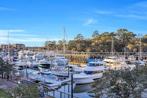Shelter Cove Marina views