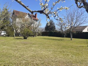 Boendeområde