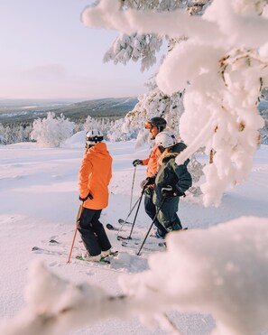 Wintersport/Ski