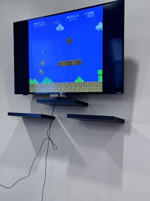 Fernseher