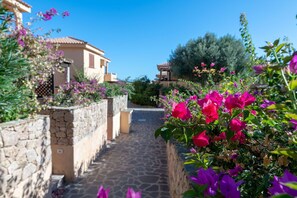 Autumn, Garden, Spring, Summer