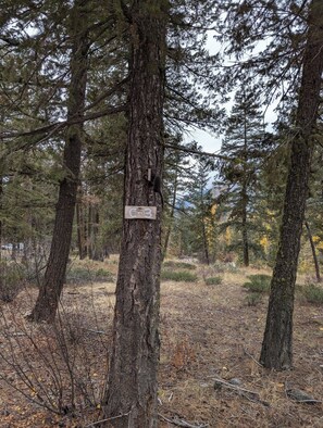 Road Marker