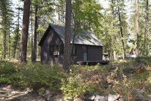 Cabin20620-201