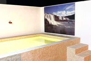 Holiday Home Swimming Pool