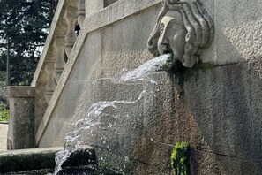 Imagen general