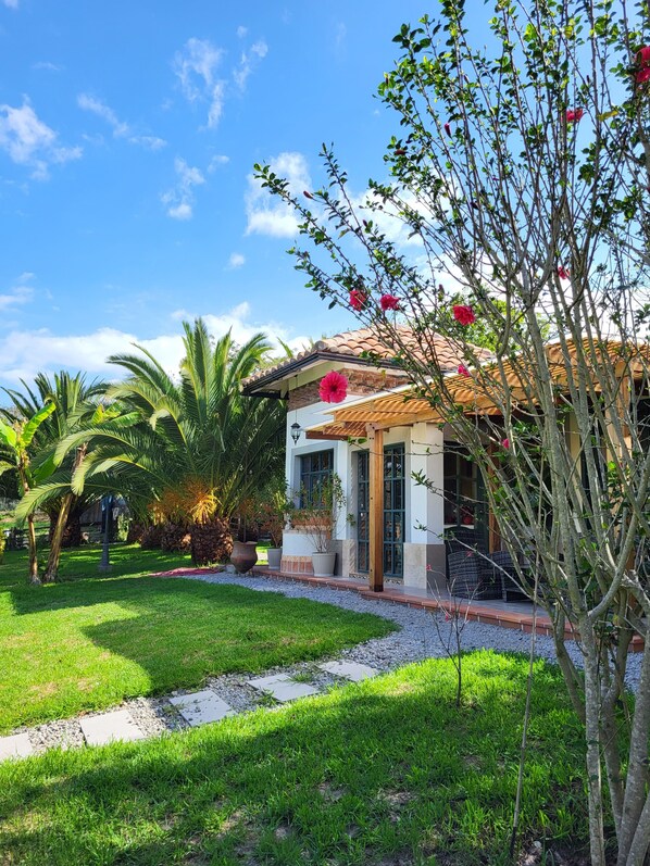 Front of property