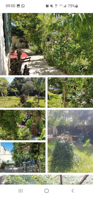 Miscellaneous