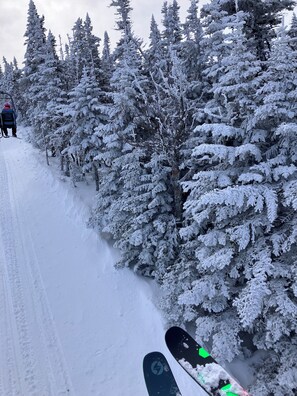 Deportes de invierno y ski