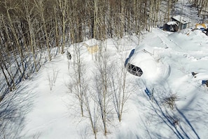 Aerial View (1)