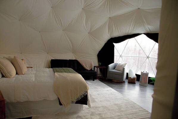 Interior View Dome #3