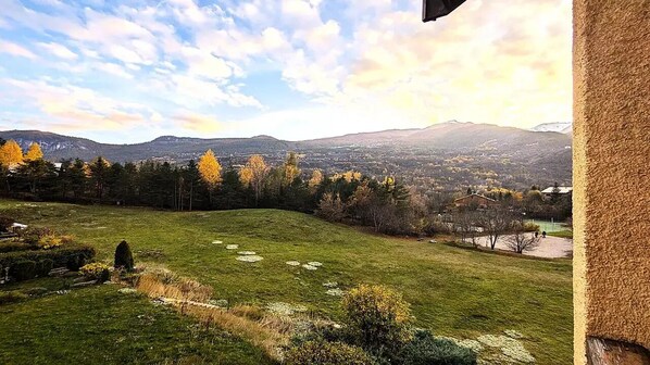 Vista desde la propiedad