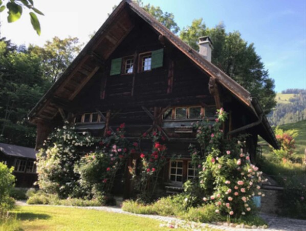 Exteriör