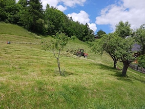 Boendeområde