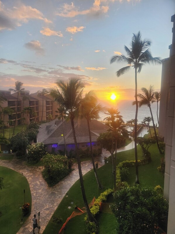 View from lanai