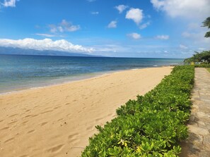 The beach!