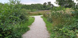 Boendeområde