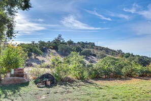 Backyard | 10-Acre Property