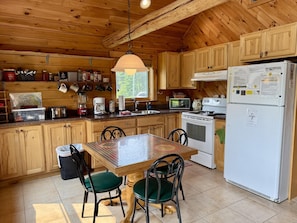 Take Four on Drummond Island - New in 2025! (4986)