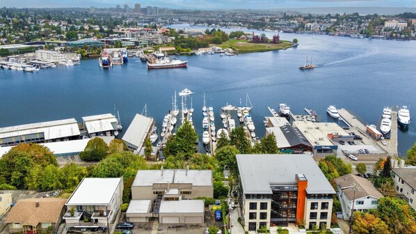 Bird view