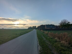 Miscellaneous