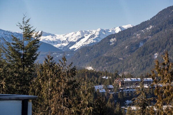 Stunning mountain and valley views from your private patio.